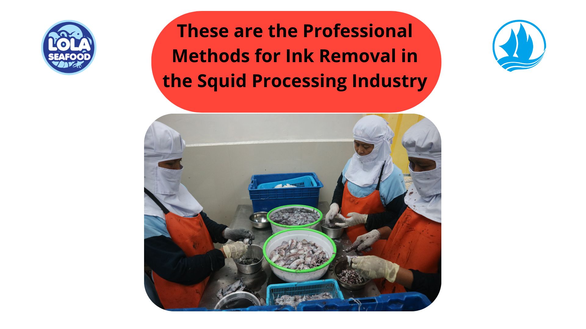 These are the Professional Methods for Ink Removal in the Squid Processing Industry